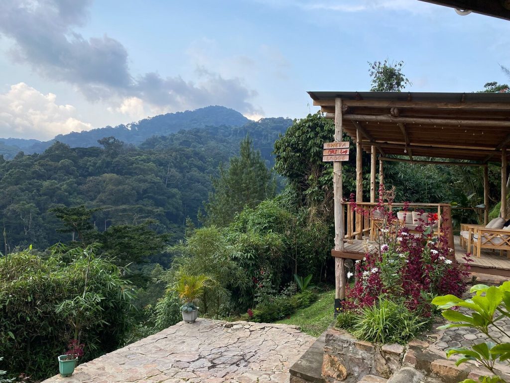 Bwindi Impenetrable Forest