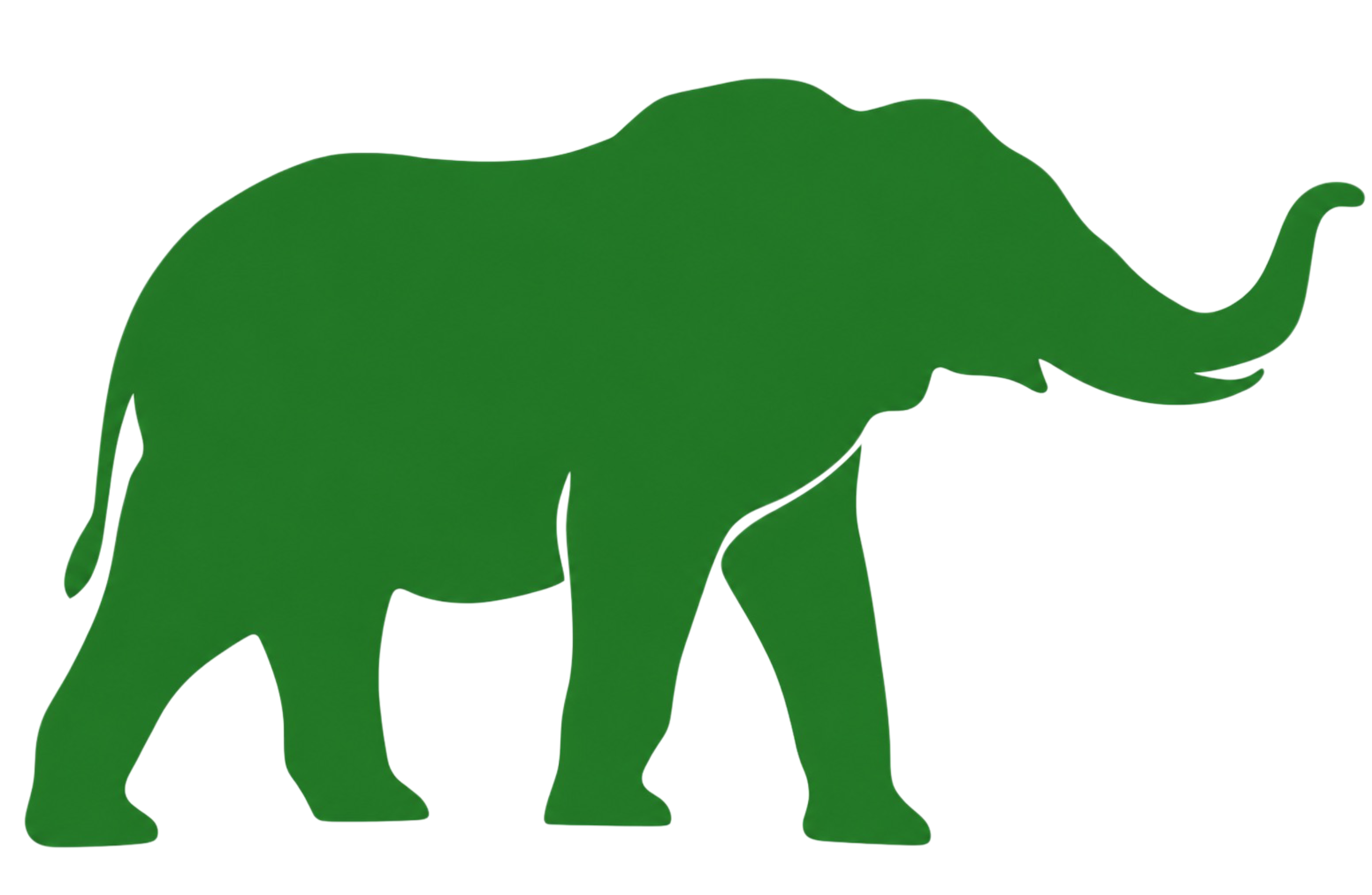 Safari IQ Icon